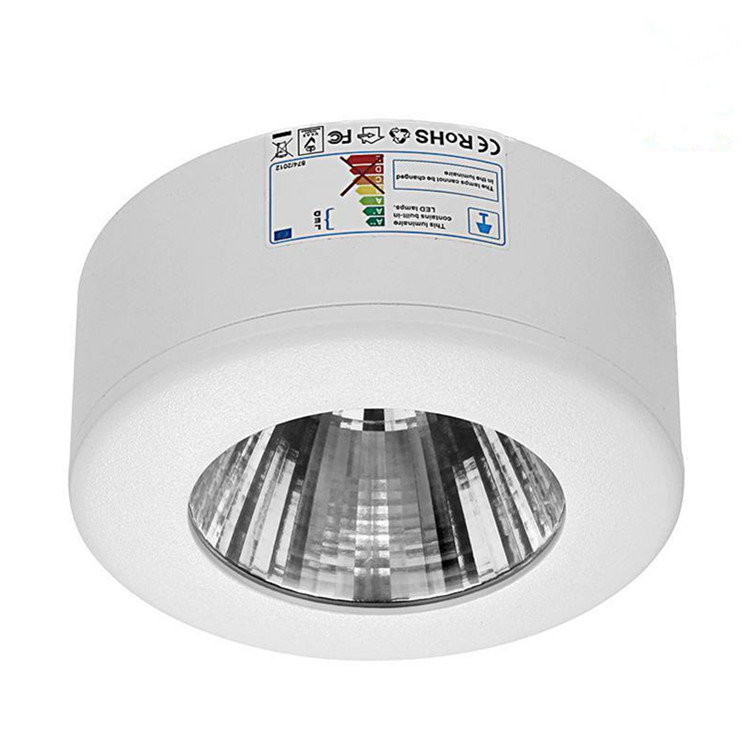 Sfp Partial Round Fixed Cob Led Surface Mounted Light